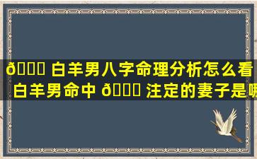 💐 白羊男八字命理分析怎么看（白羊男命中 🐛 注定的妻子是哪个星座）